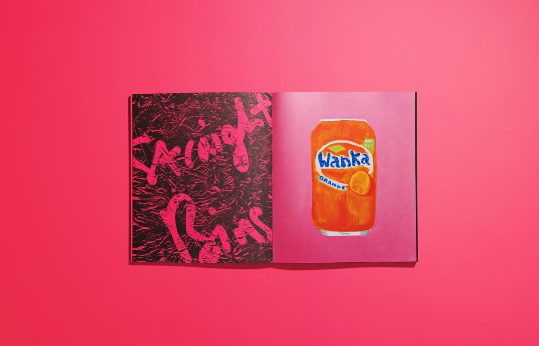 joe-lycett-bins-bins-bins-publication-itsnicethat-54.jpeg
