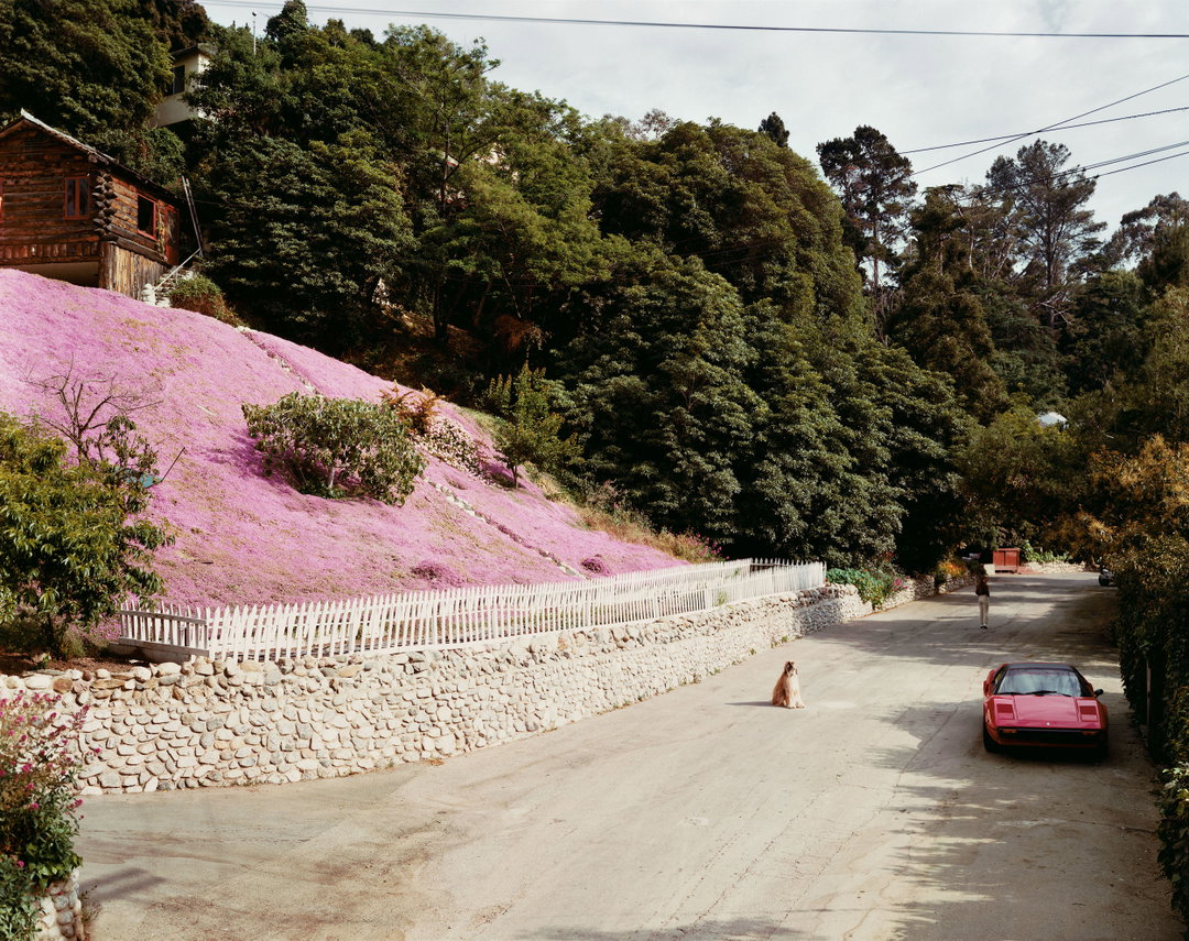 joel-sternfeld-american-prospects-photography-itsnicethat-01.jpg