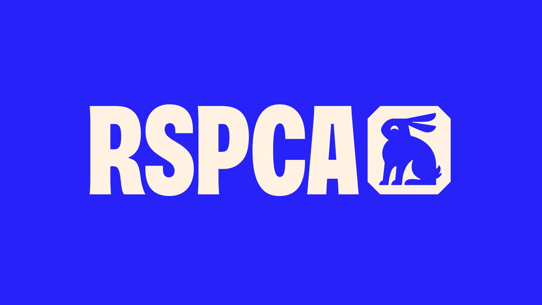 jones-knowles-ritchie-rspca-graphic-design-project-itsnicethat-01.jpg