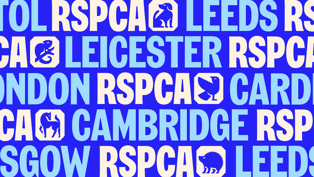 jones-knowles-ritchie-rspca-graphic-design-project-itsnicethat-03.png