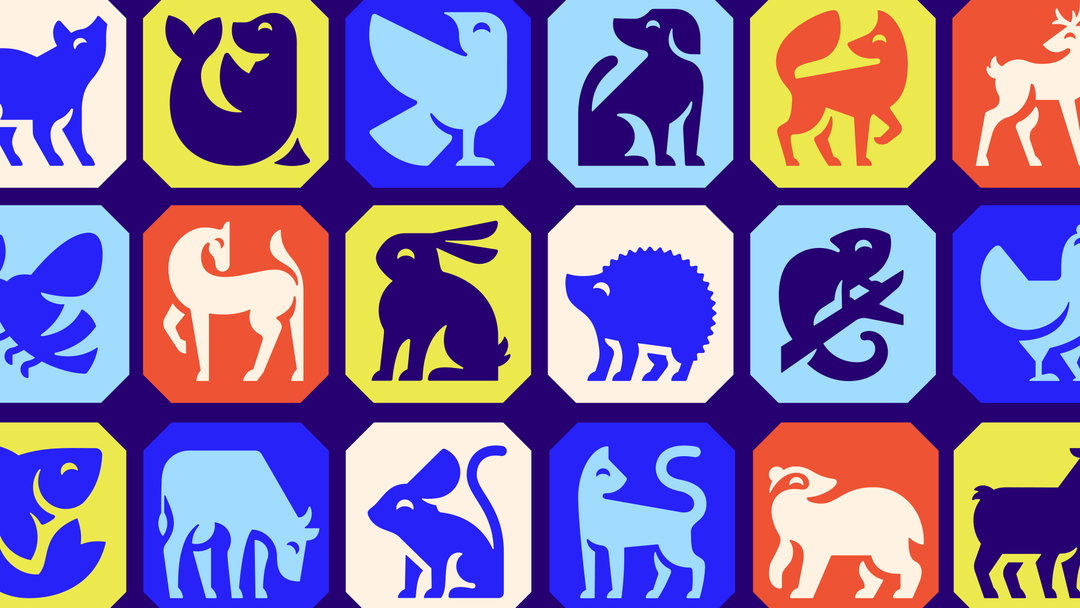jones-knowles-ritchie-rspca-graphic-design-project-itsnicethat-04.jpg