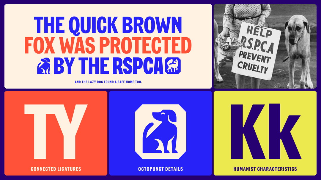 jones-knowles-ritchie-rspca-graphic-design-project-itsnicethat-05.jpg
