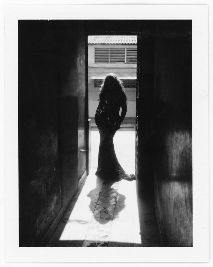 joshua-gordon-butterfly-photography-film-itsnicethat-06.jpg