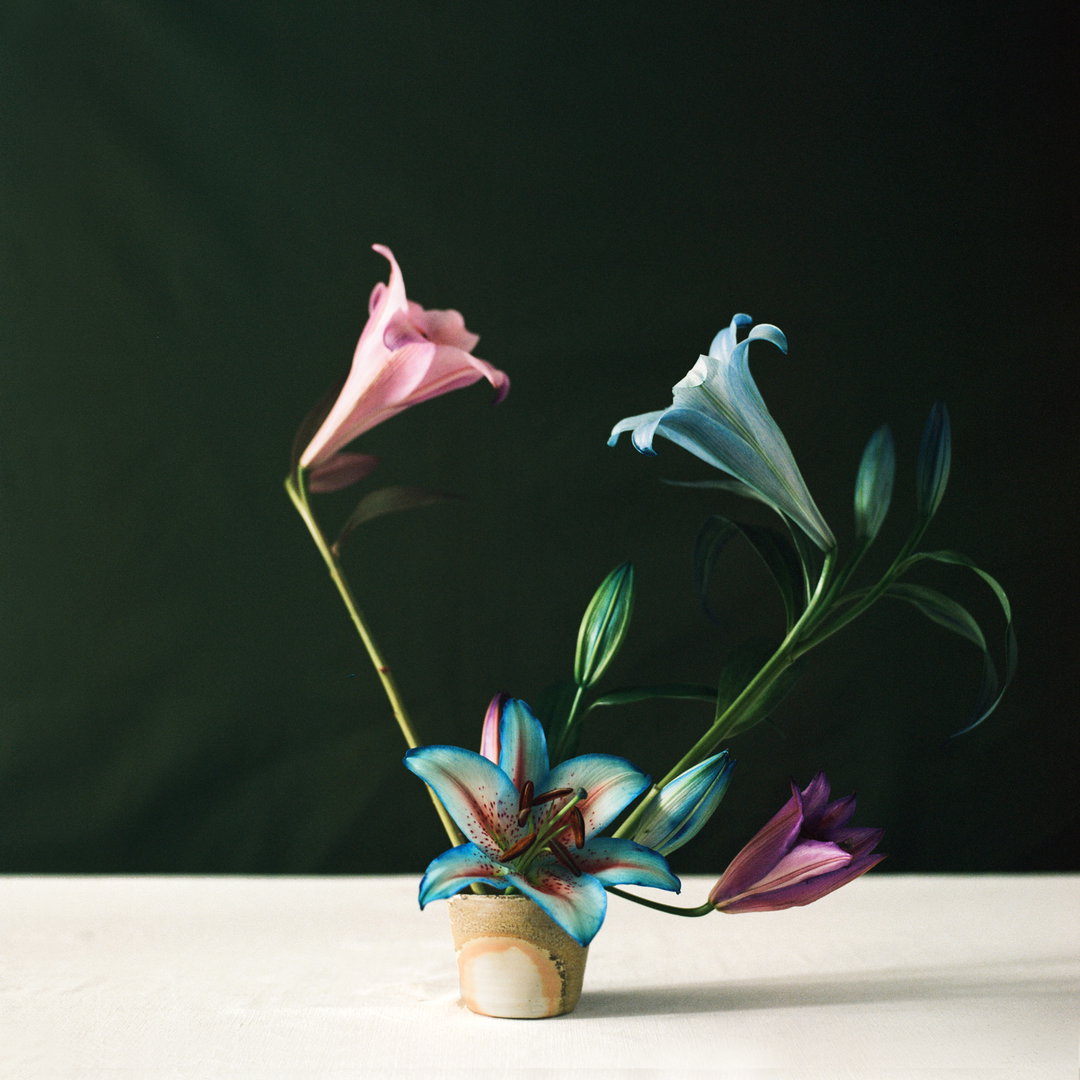 jrasic-elena-heatherwick-freddy-taylor-mothers-day-supermarket-flowers-photography-itsnicethat-06.jpg