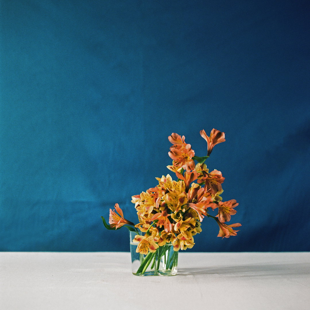jrasic-elena-heatherwick-freddy-taylor-mothers-day-supermarket-flowers-photography-itsnicethat-03.jpg