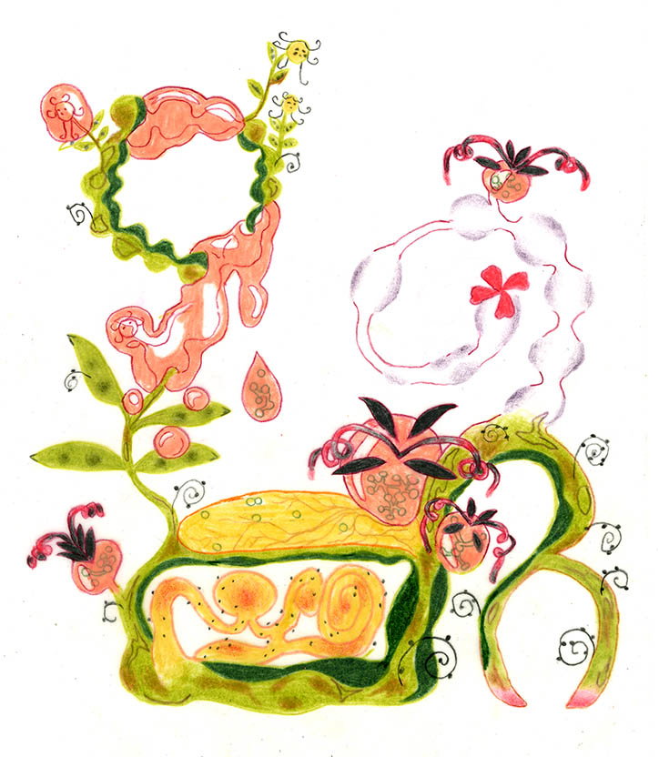 juli-majer-fuzzyseeds-illustration-itsnicethat-01.jpg