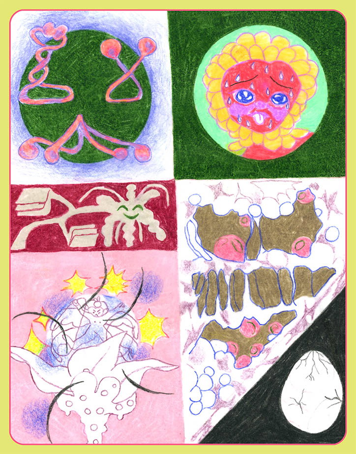 juli-majer-stonestarbloomloop-illustration-itsnicethat-02.jpg