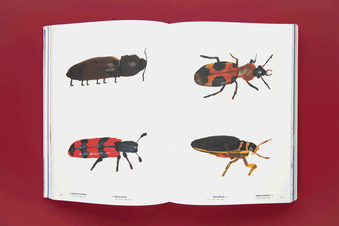 julia-kahl-archive-bookshelf2-regulars-itsnicethat-020.png