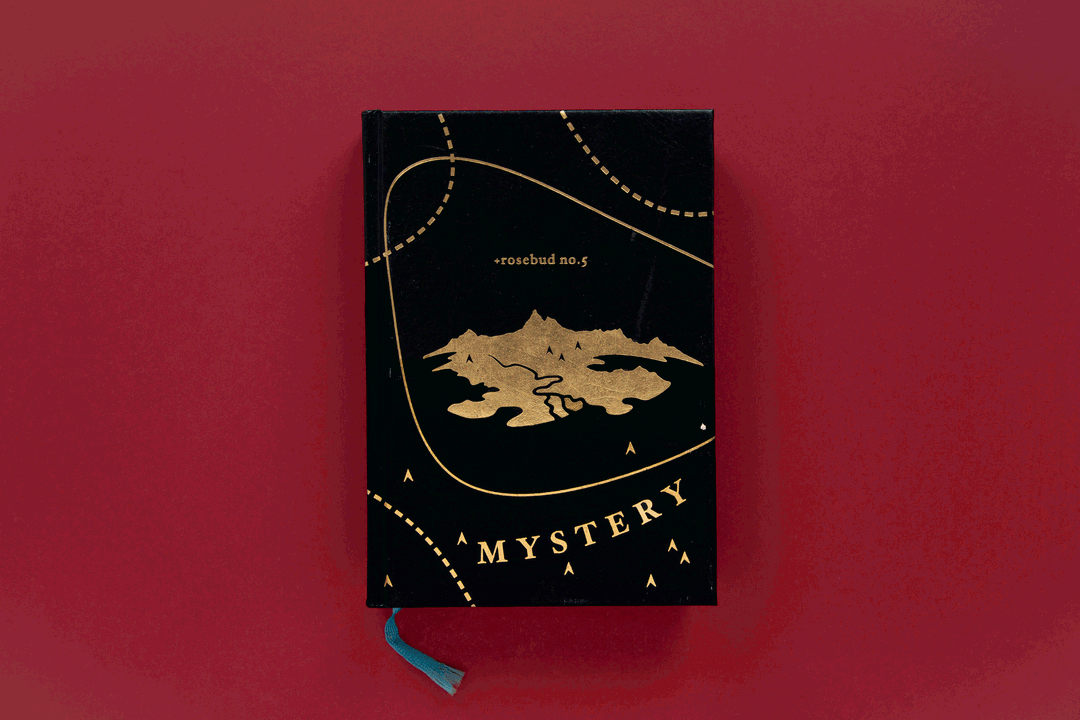 julia-kahl-archive-bookshelf2-regulars-itsnicethat-14.png