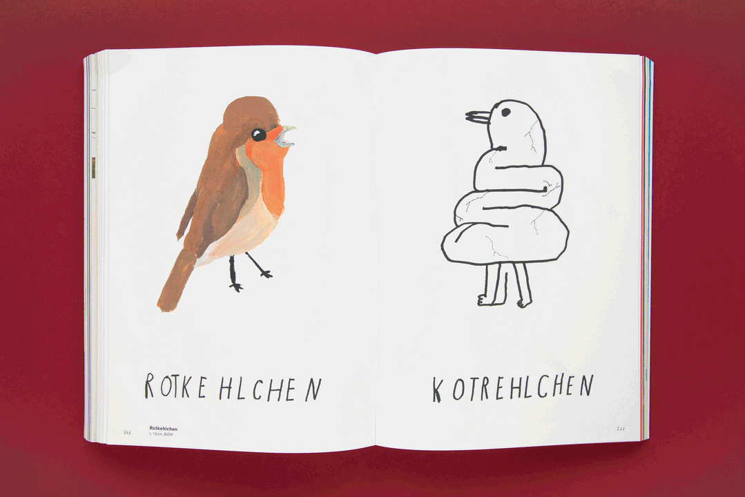 julia-kahl-archive-bookshelf2-regulars-itsnicethat-21.png