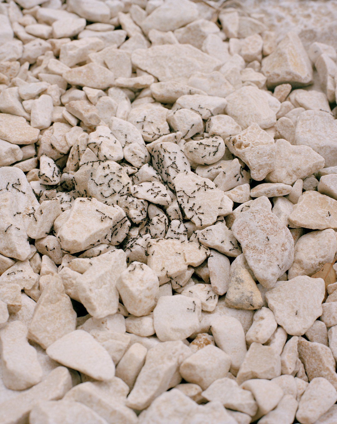 JuliaMarino-Rebuilding-Photography-itsnicethat.jpg
