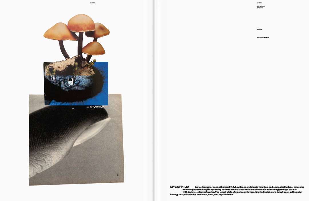kaleidoscope-issue-37-publication-itsnicethat-14.jpg