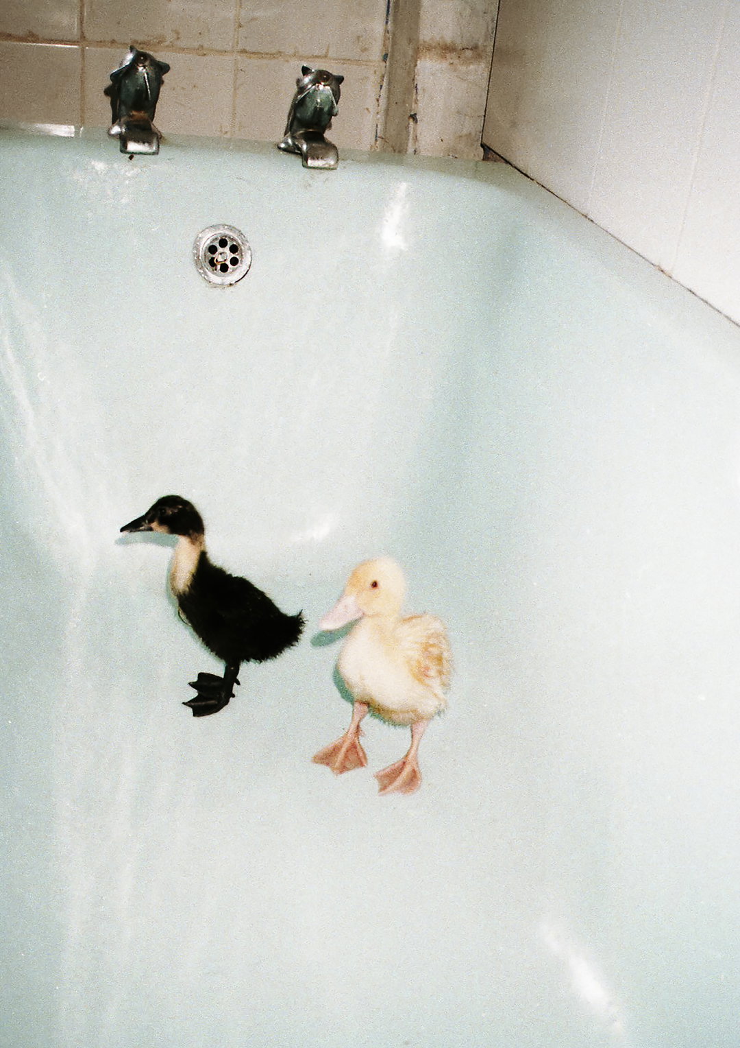 kat wood-photography-itsnicethat11.jpg