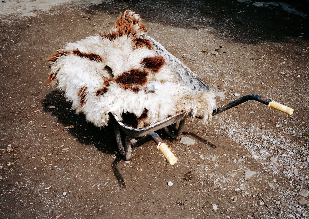 kat wood-photography-itsnicethat4.jpg