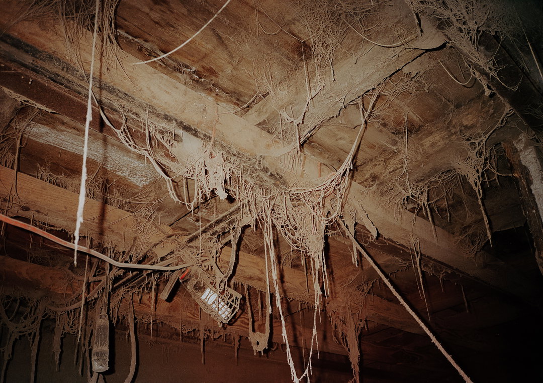 kat wood-photography-itsnicethat7.jpg