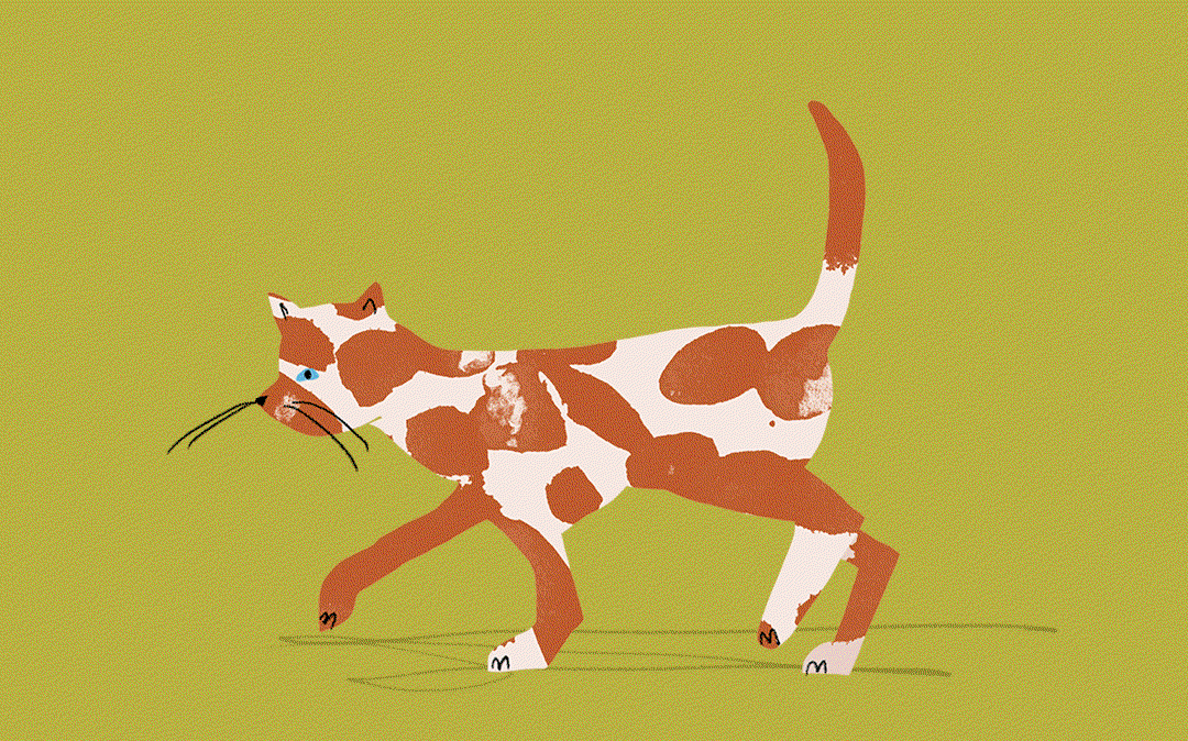 katy-welsh-animation-illustration-itsnicethat-1.gif