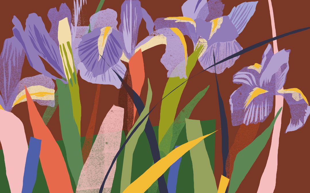 katy-welsh-animation-illustration-itsnicethat-3.jpg