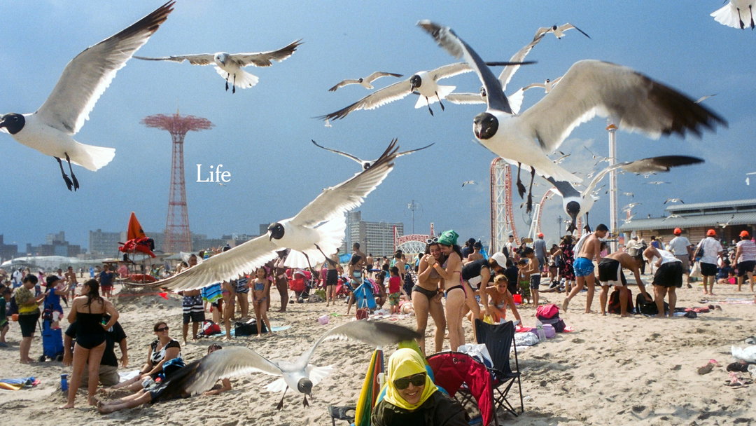 kim gehrig droga5 new york times life needs truth1.jpg