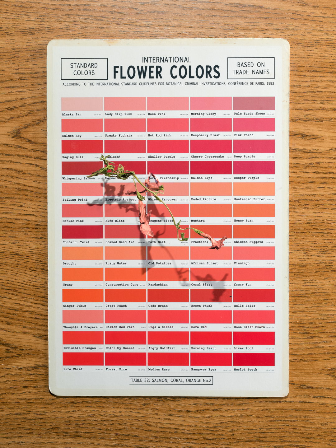 klaus-pichler-petunia-carnage-photography-itsnicethat-05.jpg