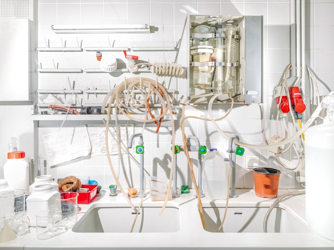 klaus-pichler-petunia-carnage-photography-itsnicethat-09.jpg