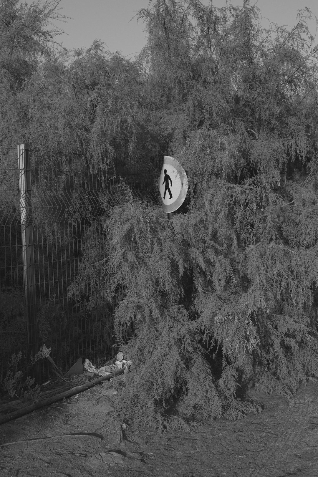 kovi-konowiecki-photography-itsnicethat-05.jpg
