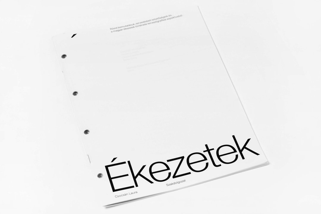 laura-csocsan-graphic-design-itsnicethat-011.jpg