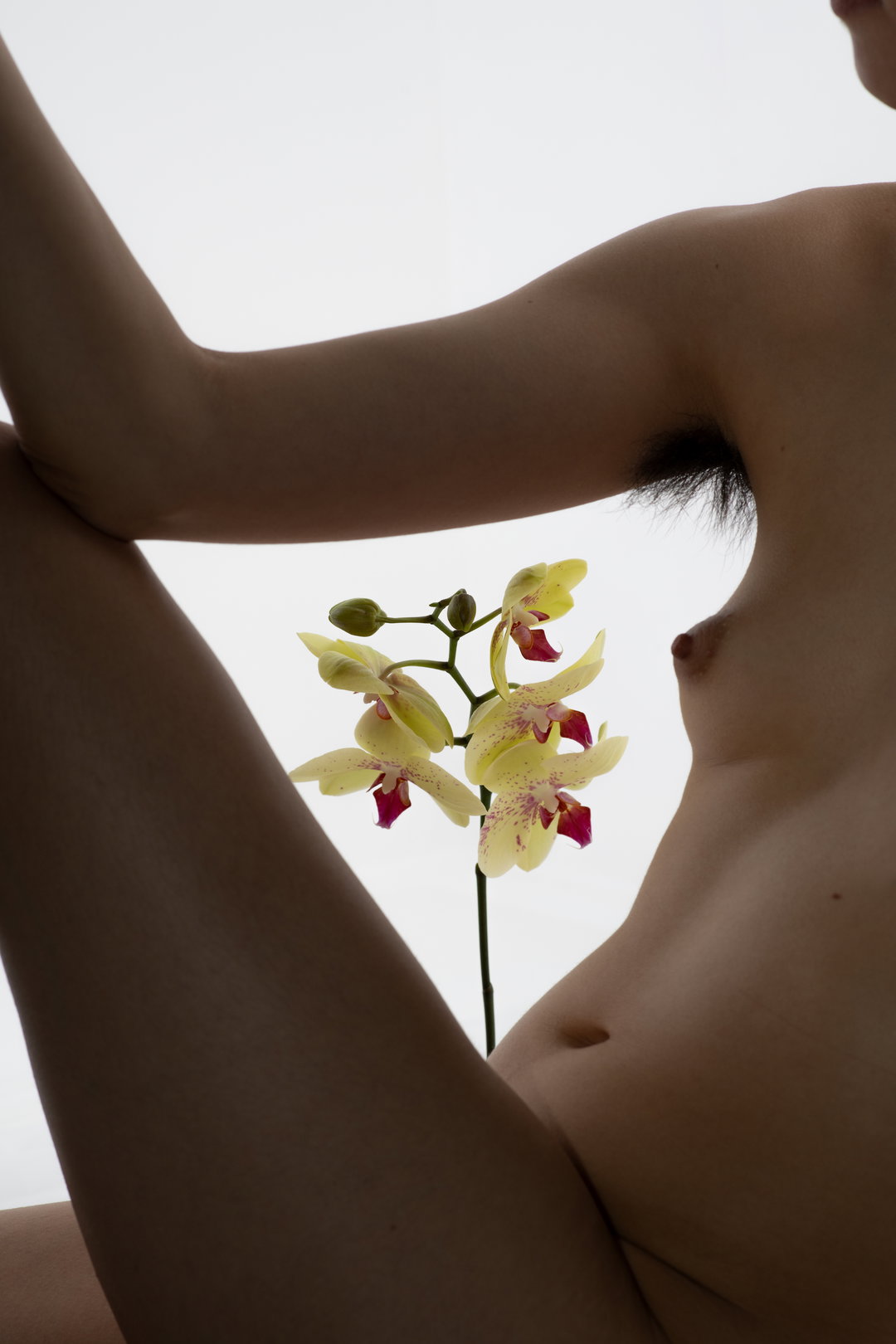laura-schaeffer-photography-itsnicethat-01.jpg