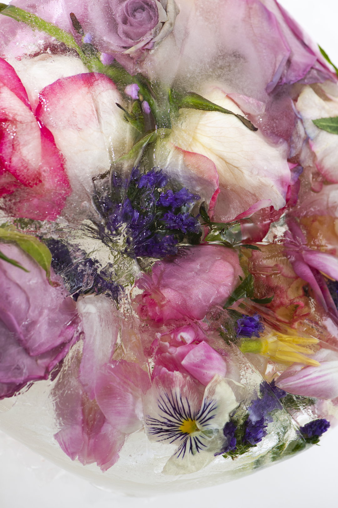 laura-schaeffer-photography-itsnicethat-03.jpg