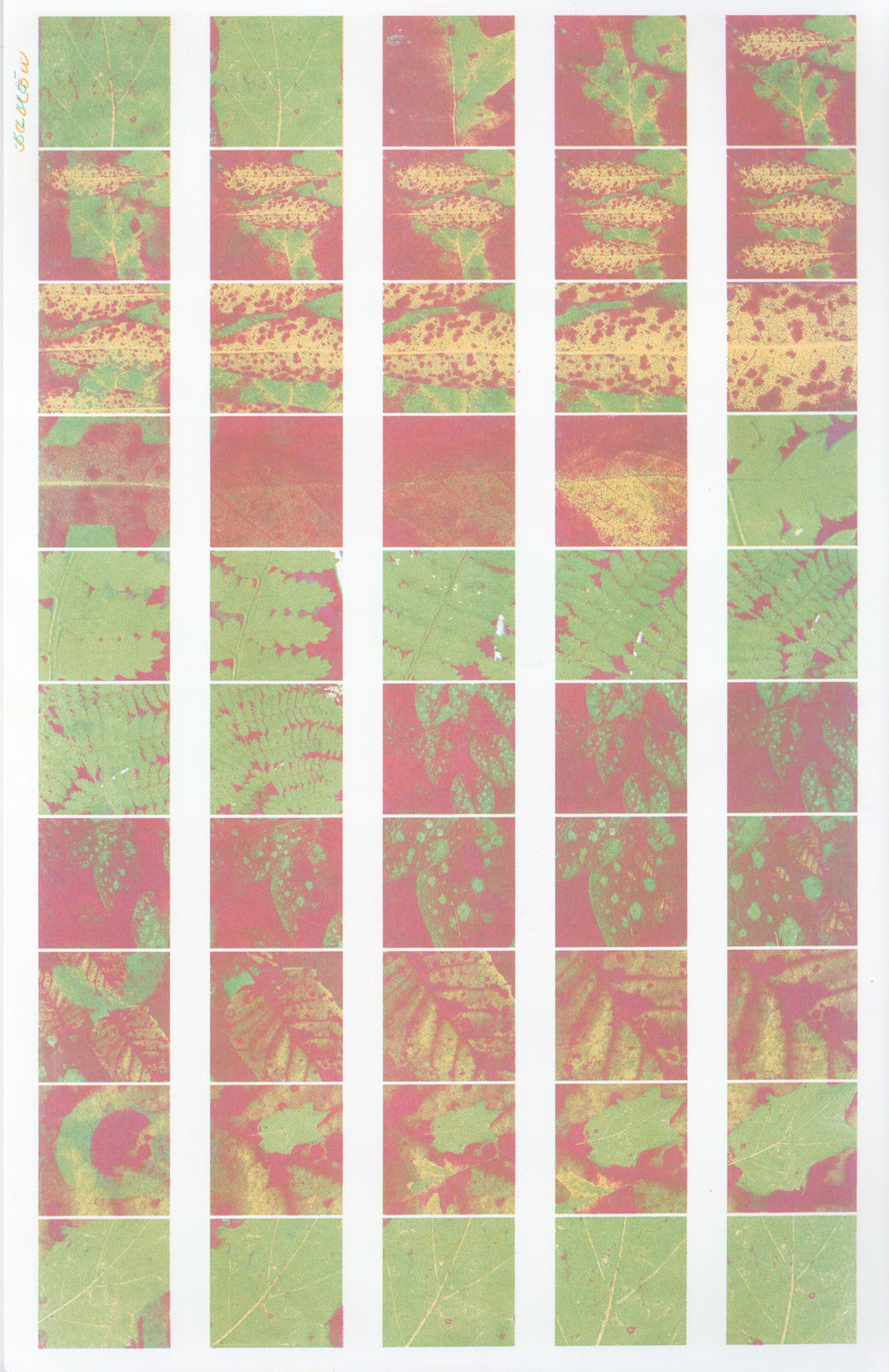 Valeria-Homayden-field-notes-for-wonder-itsnicethat-07