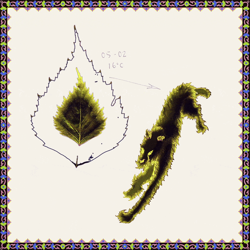 leaves_insta_1.gif