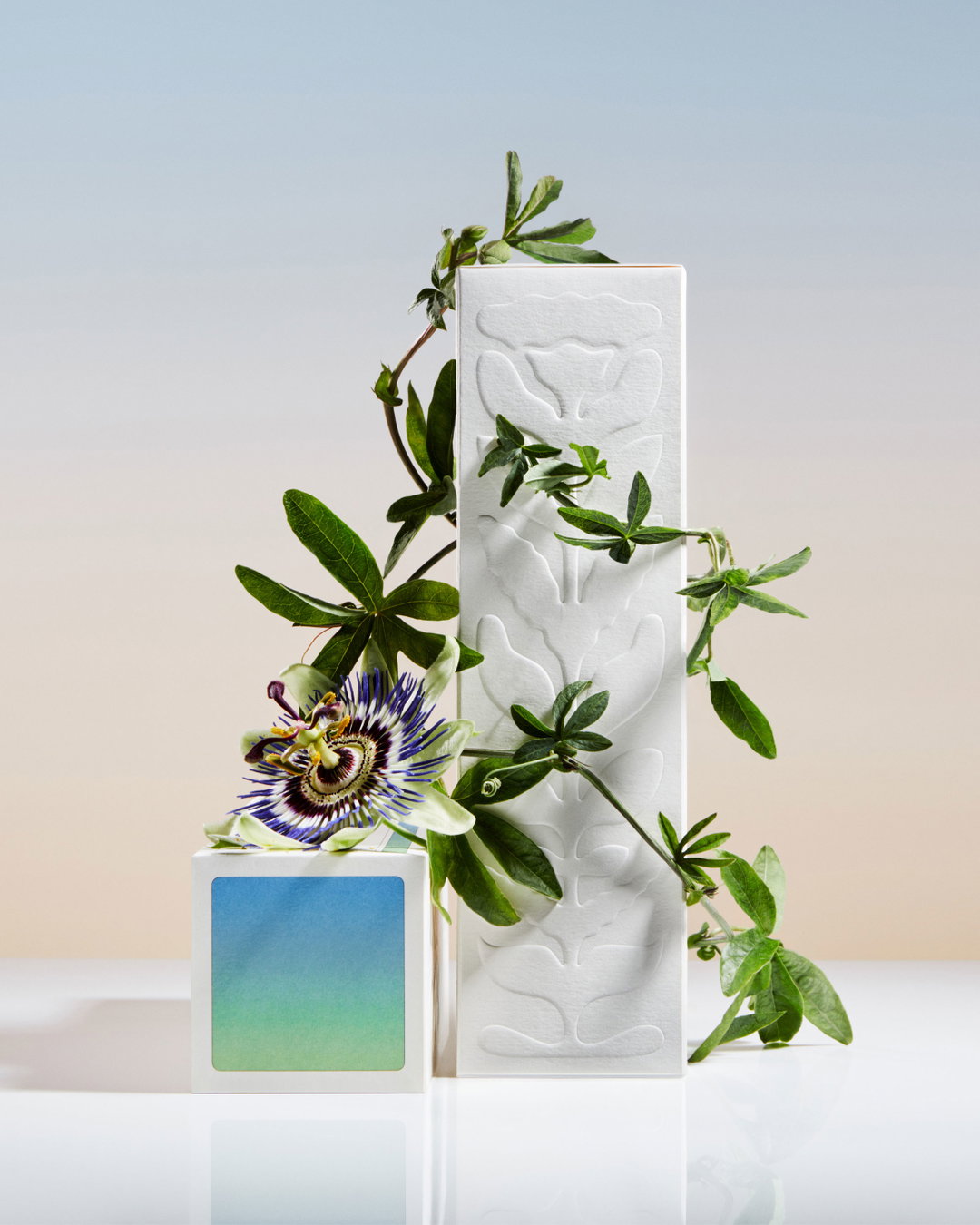 leslie-david-studio-sowvital-graphic-design-itsnicethat-10.jpg