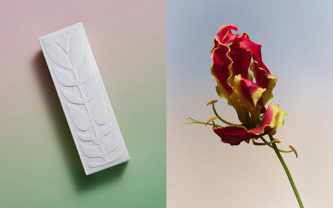 leslie-david-studio-sowvital-graphic-design-itsnicethat-11.jpg