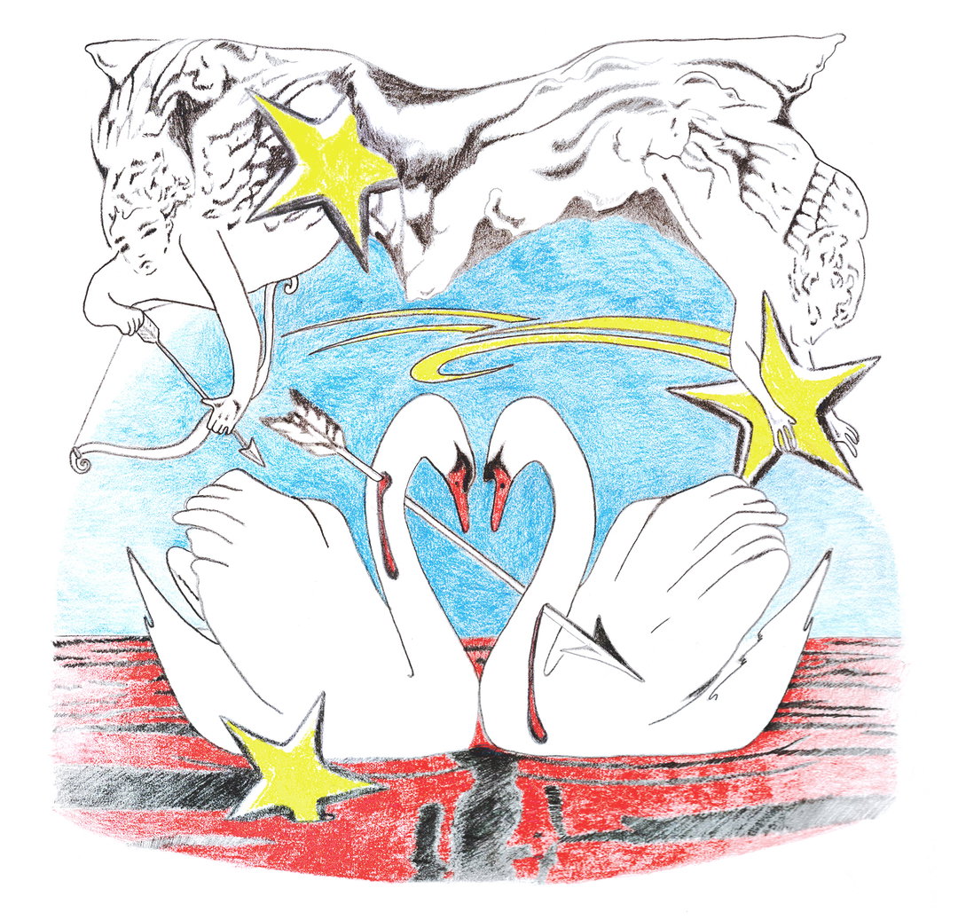 lia kantrowitz-illustrator-itsnicethat-swans.jpg