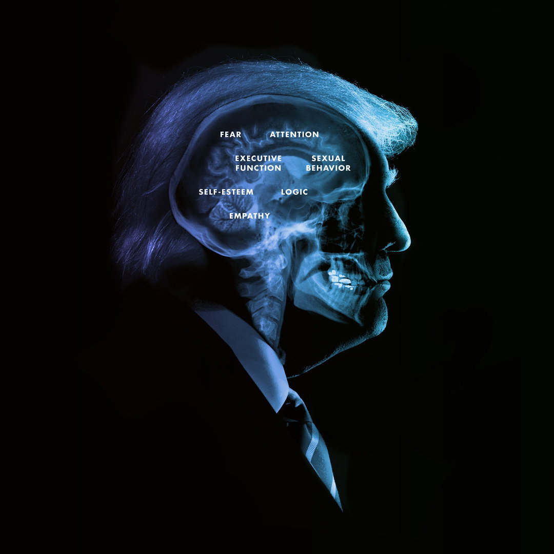 life-after-trump-christoph-niemann-na-kim-edel-rodriguez-illustration-itsnicethat-05.jpg