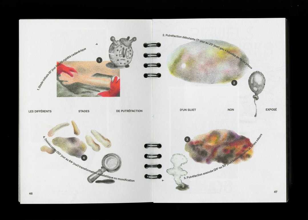 An artist and former funeral professional have collaborated on a book about the bizarre and beautiful rituals of death