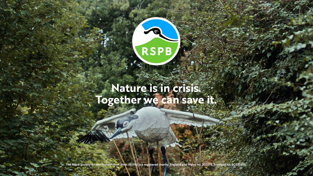 rspb-news-gd-itsnicethat06