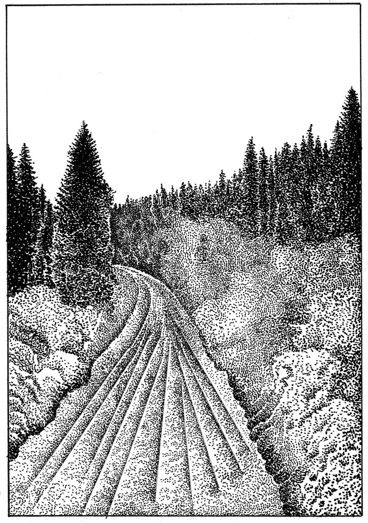 luca-schenardi-lina-mueller-illustration-itsnicethat-05.jpg