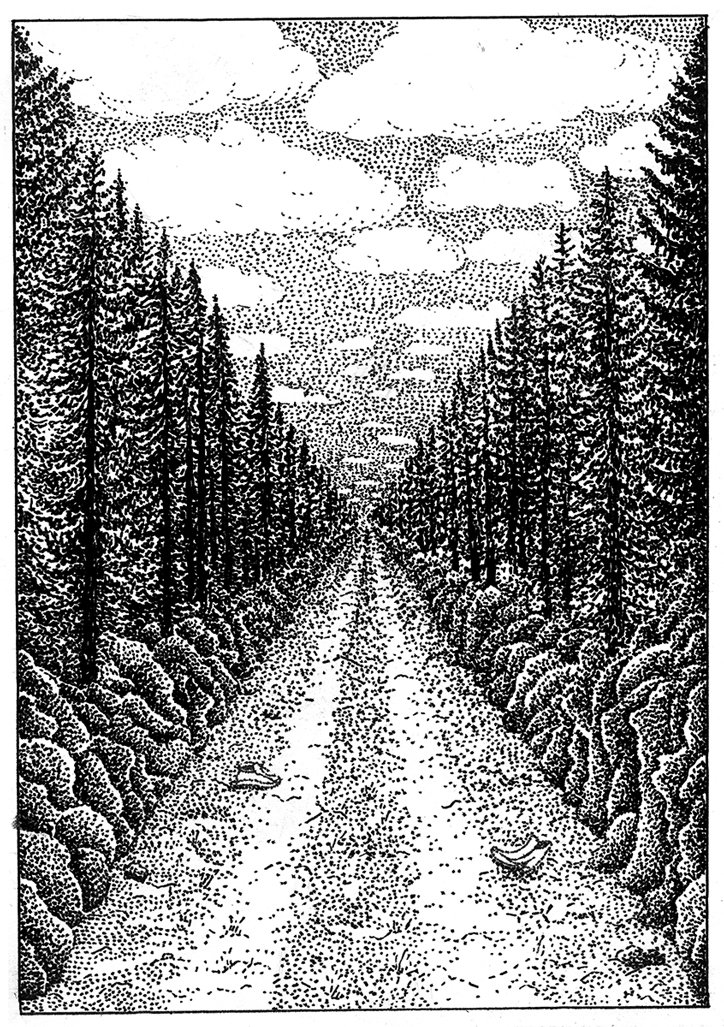 luca-schenardi-lina-mueller-illustration-itsnicethat-06.jpg