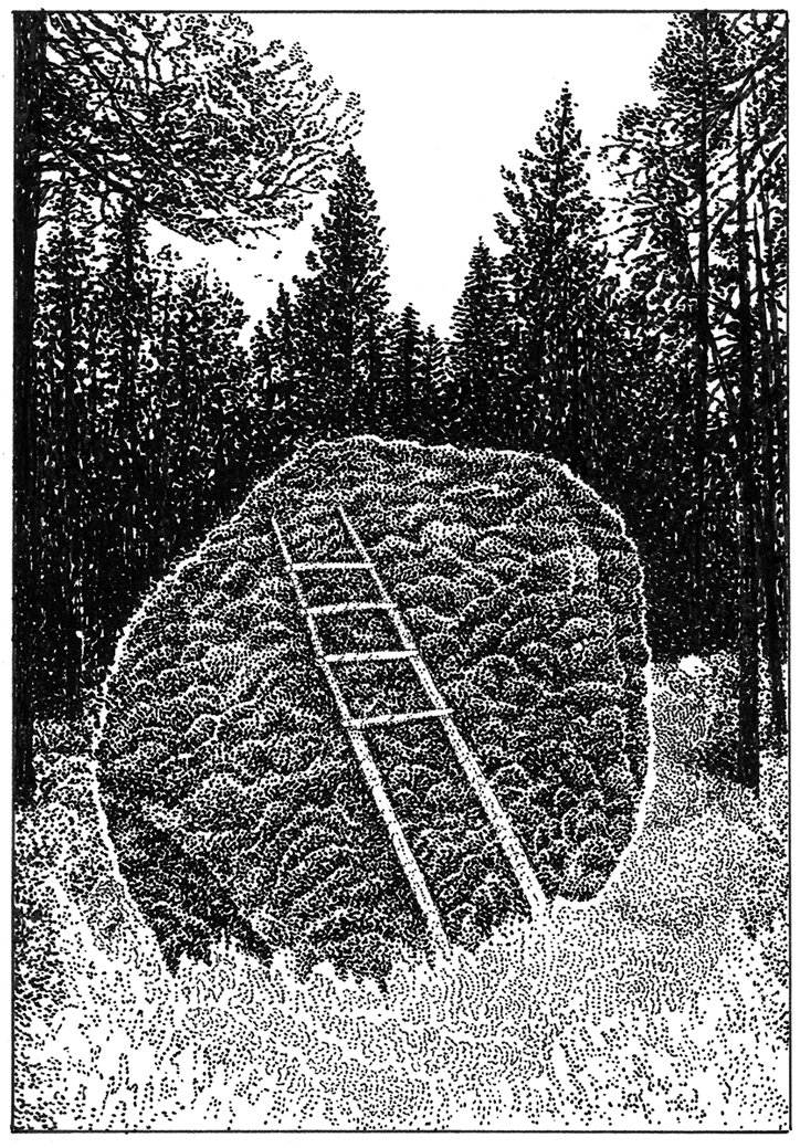 luca-schenardi-lina-mueller-illustration-itsnicethat-09.jpg