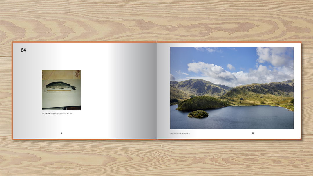 luke stephenson british record fish photography itsnicethat_Luke Stephenson Book_Presentation 7-38.jpg