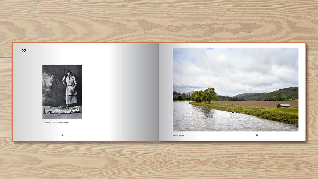luke stephenson british record fish photography itsnicethat_Luke Stephenson Book_Presentation 7-36.jpg