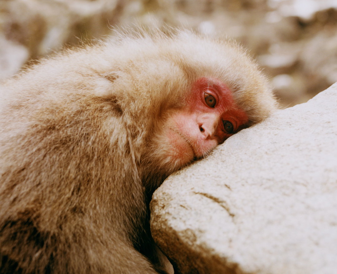 maciek-pozoga-photography-itsnicethat-01.jpg