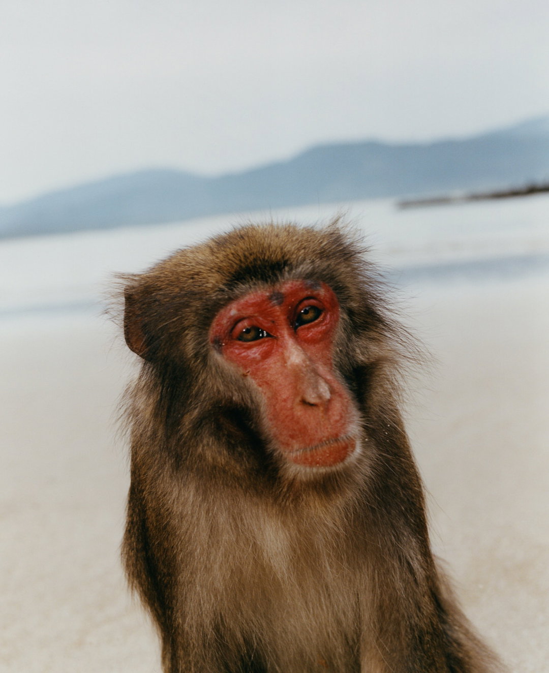 maciek-pozoga-photography-itsnicethat-02.jpg