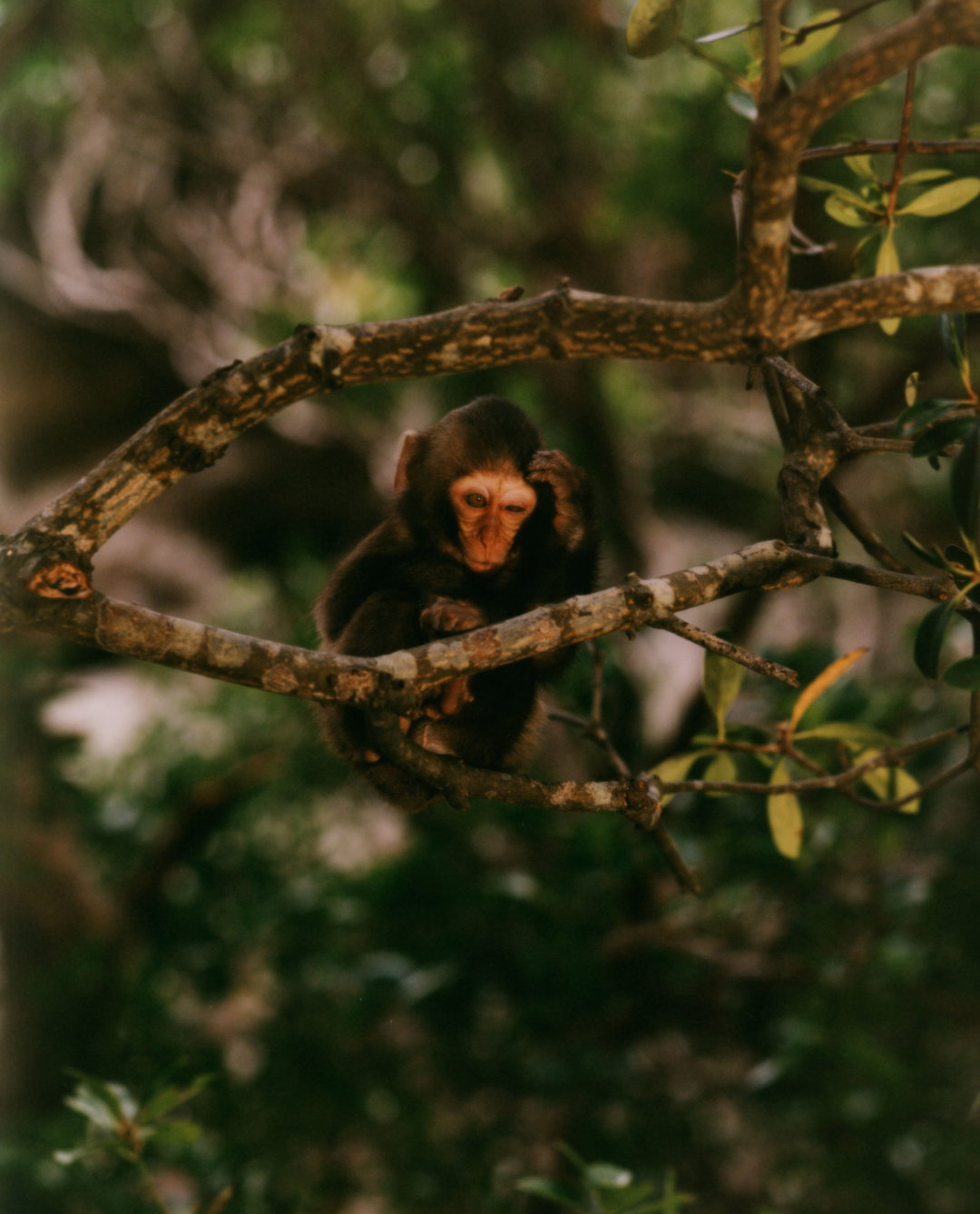 maciek-pozoga-photography-itsnicethat-04.jpg