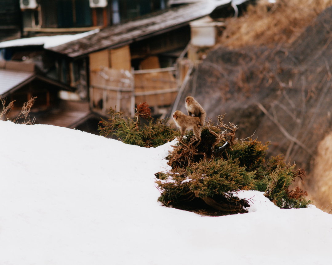 maciek-pozoga-photography-itsnicethat-10.jpg