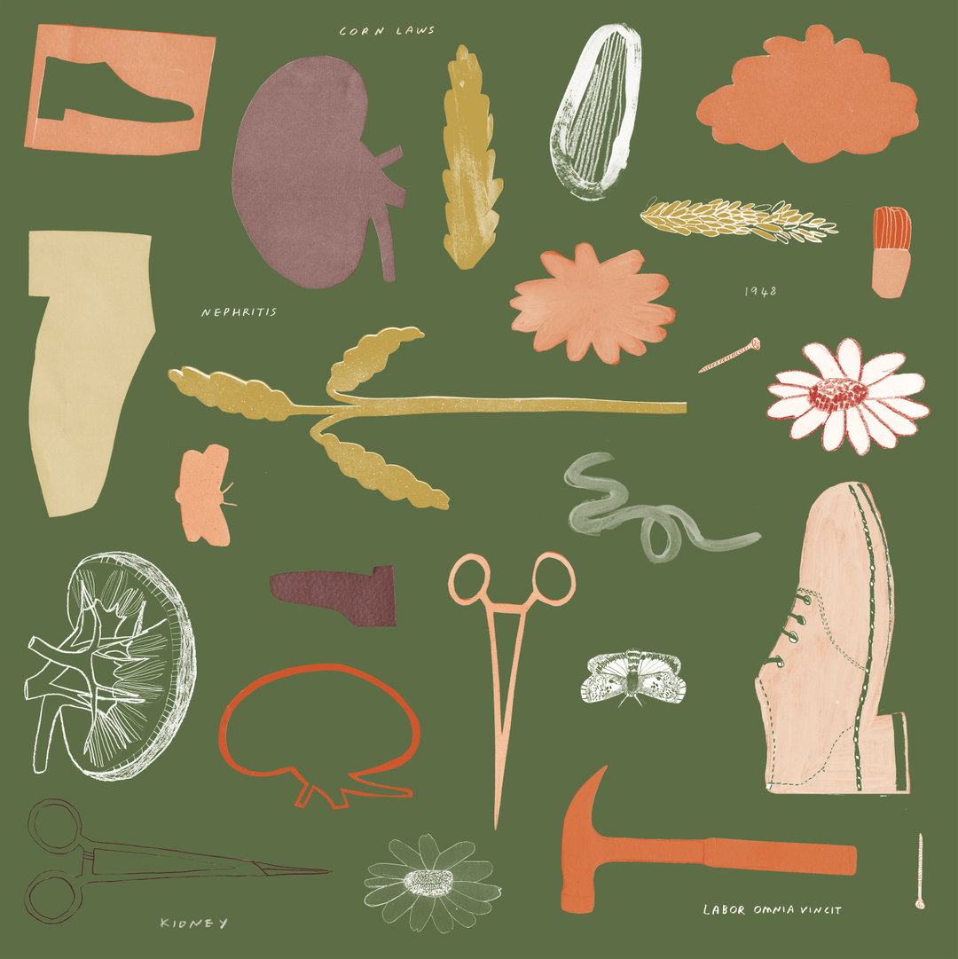 maisy-summer-illustration-itsnicethat-13.jpg