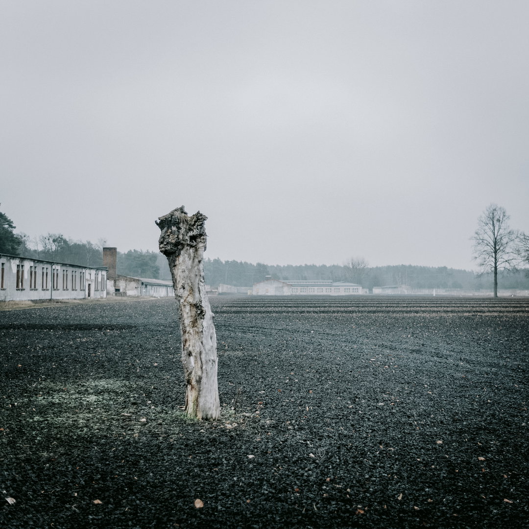 marc-wilson-a-wounded-landscape-photography-itsnicethat-06.jpg