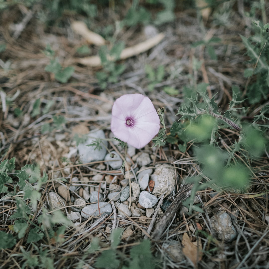 marc-wilson-a-wounded-landscape-photography-itsnicethat-11.jpg
