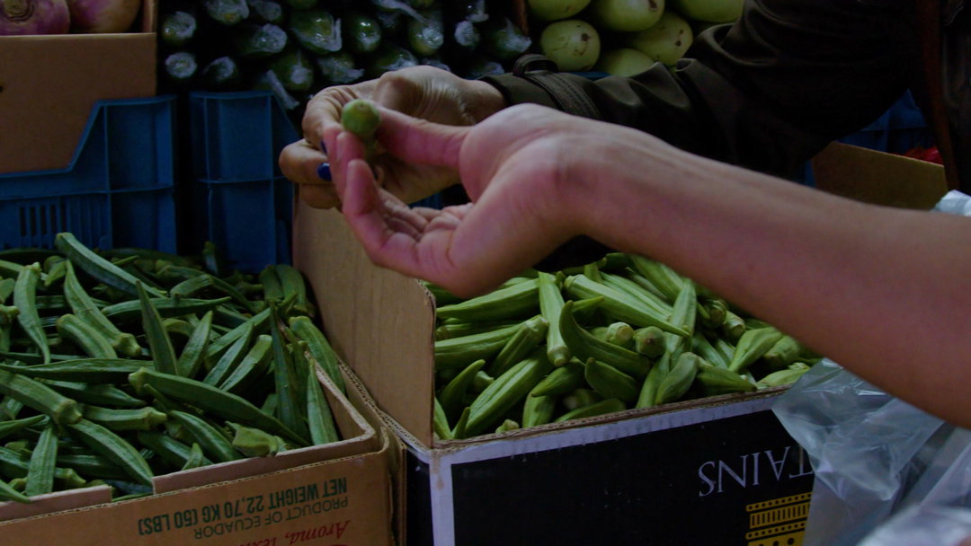 marcel-mckenzie-daphne-chouliaraki-milner-oma-nata-simeh-film-itsnicethat3.jpg