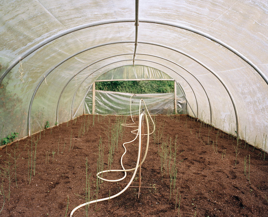 marco-kesseler-polytunnel-photography-itsnicethat-03.JPG